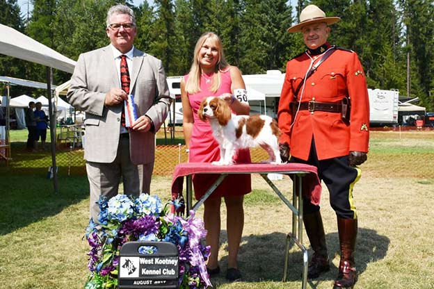 Cresthaven Cavaliers - Breeder of Cavalier King Charles Spaniels located in Penticton BC