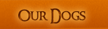 our dogs menu button