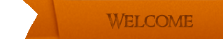home menu button